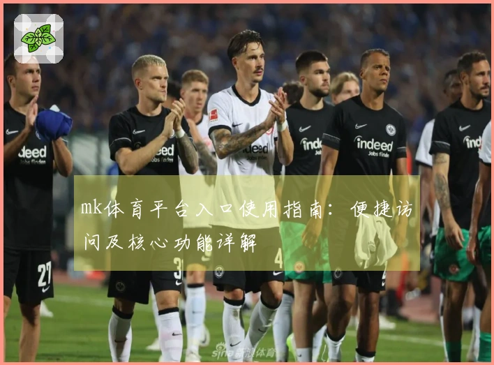 mk体育平台入口使用指南：便捷访问及核心功能详解