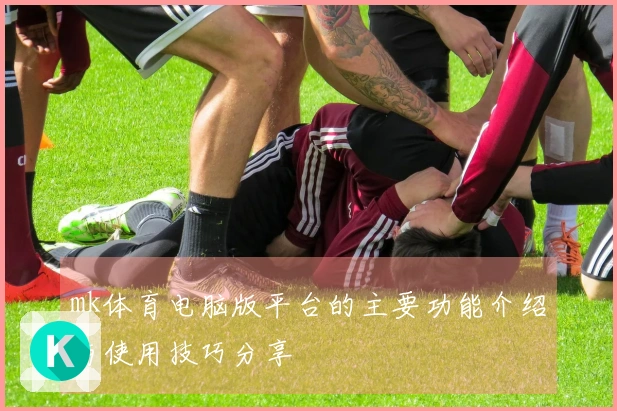 mk体育电脑版平台的主要功能介绍与使用技巧分享