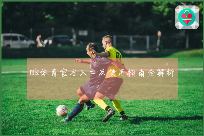 mk体育官方入口及使用指南全解析