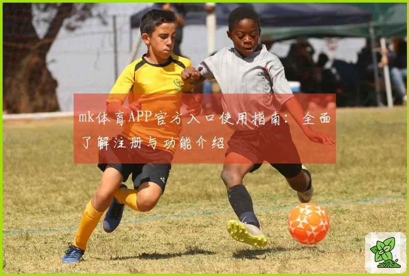 mk体育APP官方入口使用指南：全面了解注册与功能介绍